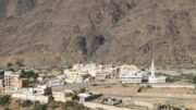 توسعه و همکاری