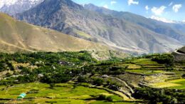 والی پنجشیر