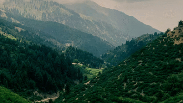 ۱۵ پروژه انکشافی
