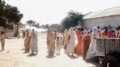 کمیته نجات