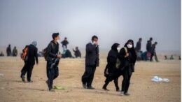 غذای