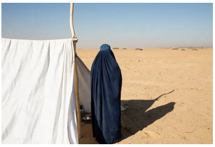 مهاجر