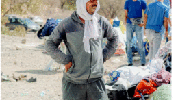 مهاجران