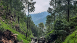 خیبرپختونخوا