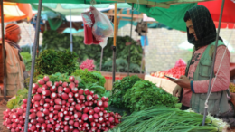 ۳۱۷ هزار تُن میوه