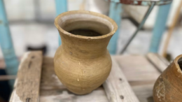 یونسکو غزني کې