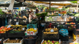 رشد تولید سبزیجات