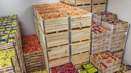 صادرات میوه‌های خشک