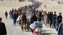 افزایش چشم‌گیر بازگشت