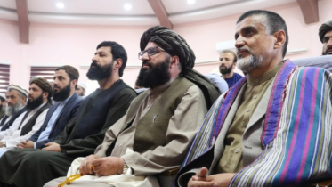 بین‌المللی کشتی‌های