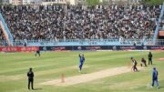 کریکت
