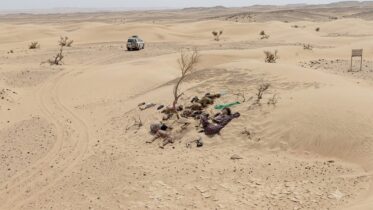 نیمروز